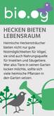 Quelle: Stadt Offenburg